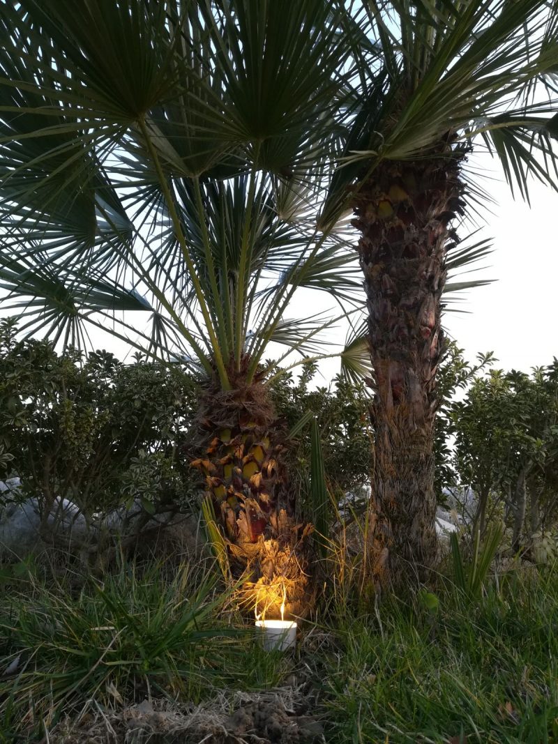 Faretti da Esterno a LED: 6 fantastiche applicazioni