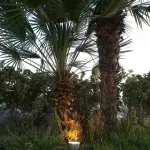 Faretti da Esterno a LED: 6 fantastiche applicazioni