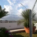 Guida ai Lampioni da Giardino